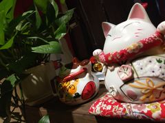 -春草居酒屋·晴子の店
