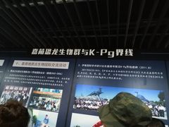 -嘉荫恐龙国家地质公园