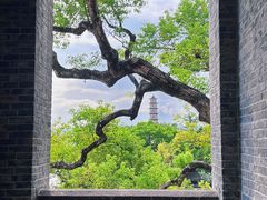 -江心屿景区