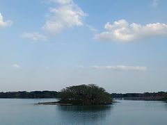 -海珠湖公园