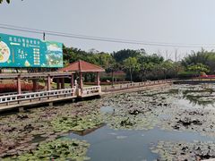 -广州莲花山旅游区