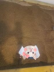 -敖东酵素·离子暖房
