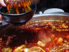 -大拿渔火锅(万豪白领富贵西园店)