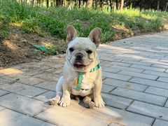 -乖乖宠物医院·猫科·骨科·24小时(云岗分院)