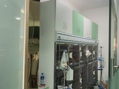 -汪喵宠物医院·骨科心脏影像·犬猫急重症ICU诊疗中心(成华分院)