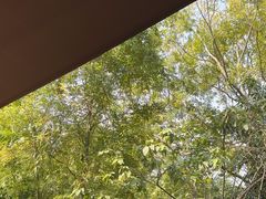 -素描餐厅(灵隐天竺店)