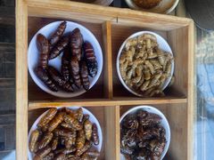-昆虫窝子·特色云南菜(拓东路总店)