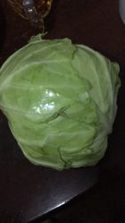 -宋氏家传催乳工作室(罗南新村店)