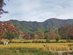 -塔川景区