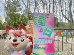 -上海共青森林公园