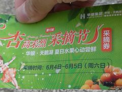 -天鹅湖生态旅游风景区