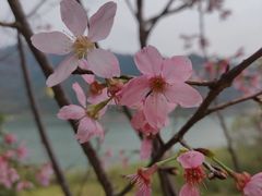 -羚羊峡古栈道森林公园