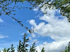 -西湖公园(鼓楼区)