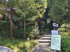 -阳台山森林公园