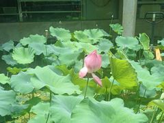 -天怡·鱼工厂(梅溪湖店)
