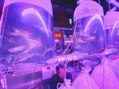 -华声天桥民俗文化园