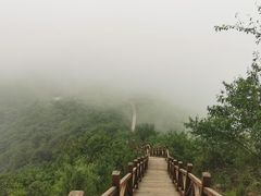 -大岭沟猕猴桃谷风景区