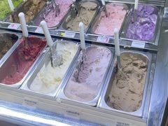 -鹤茶野所(上海首店)