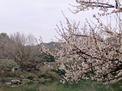 -杭州植物园