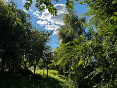 -马家湾湿地公园