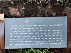 -雨花胜境