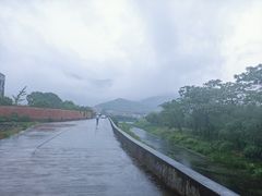 -尚田草莓姑娘白草莓采摘基地