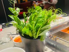 -海底捞火锅(杭州越界锦和大厦店)