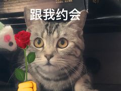 -天时宠物医院24小时疑难病例会诊中心(顾乡大街总院)