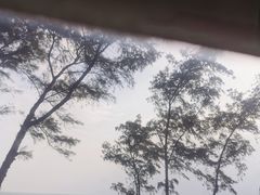 -青澳湾北回归线广场