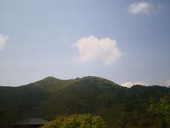 -大唐贡茶院