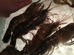 -Ministry of Crab(科伦坡店)