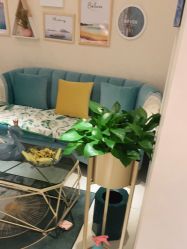 -薇兰专业脱毛连锁机构