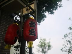 -老幺泉水鸡