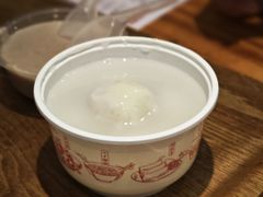 -海丝金凤(金鱼店)