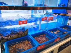 会跳舞的大鲍鱼-小龍鳳·港式海鲜打边炉(沙湖路店)