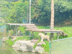 -宁波野生动物园