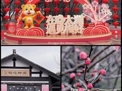 -香雪海