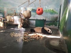 -无锡动物园·太湖欢乐园