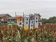 -郫都区农科村景区