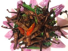 -锦粤宫·精致粤菜(深圳北站店)