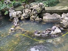 -法雨寺餐厅