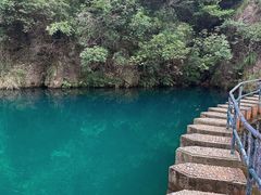 -大奇山国家森林公园