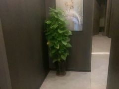 -鹿栖.精油SPA(金山世纪城店)