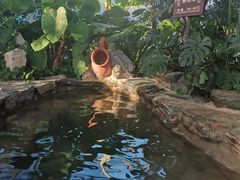 -中家鑫园温泉酒店鑫悦汤泉