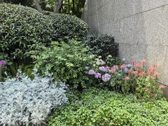 -常熟路(地铁站)