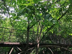 -云岫谷自然风景区