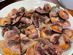 -大树下饭店(春晓镇慈岙社区卫生服务站南)