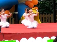 -北京梧桐树双语幼儿园