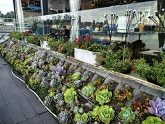 -野菌皇海景野生菌火锅(滨海大道店)