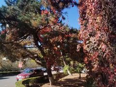 -辽宁大学(崇山校区)